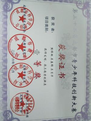 《中學生自我認識現(xiàn)狀調(diào)查》小組研究性課題榮獲成都市一等獎 - 學生活動 - 思品組 - 雙流中學實驗學校歡迎你!