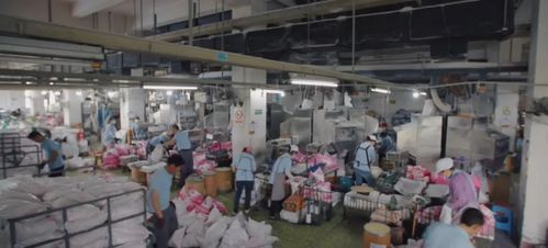 從破產(chǎn)清算轉(zhuǎn)破產(chǎn)重組,抖音電商 遇見好國(guó)貨 助瀕死老品牌獲新生